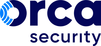 Orca security